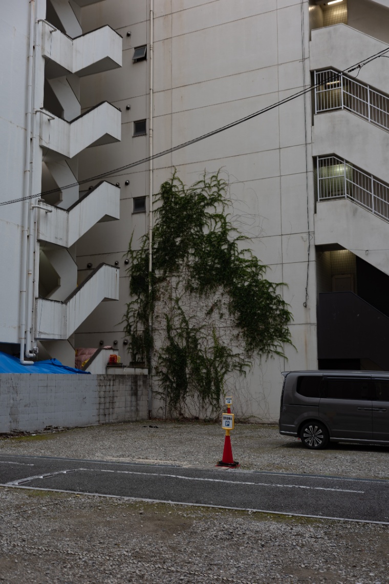 20251014-R0001739.jpg