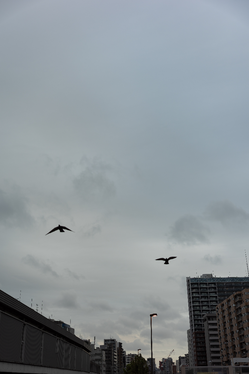 20251014-R0001743.jpg