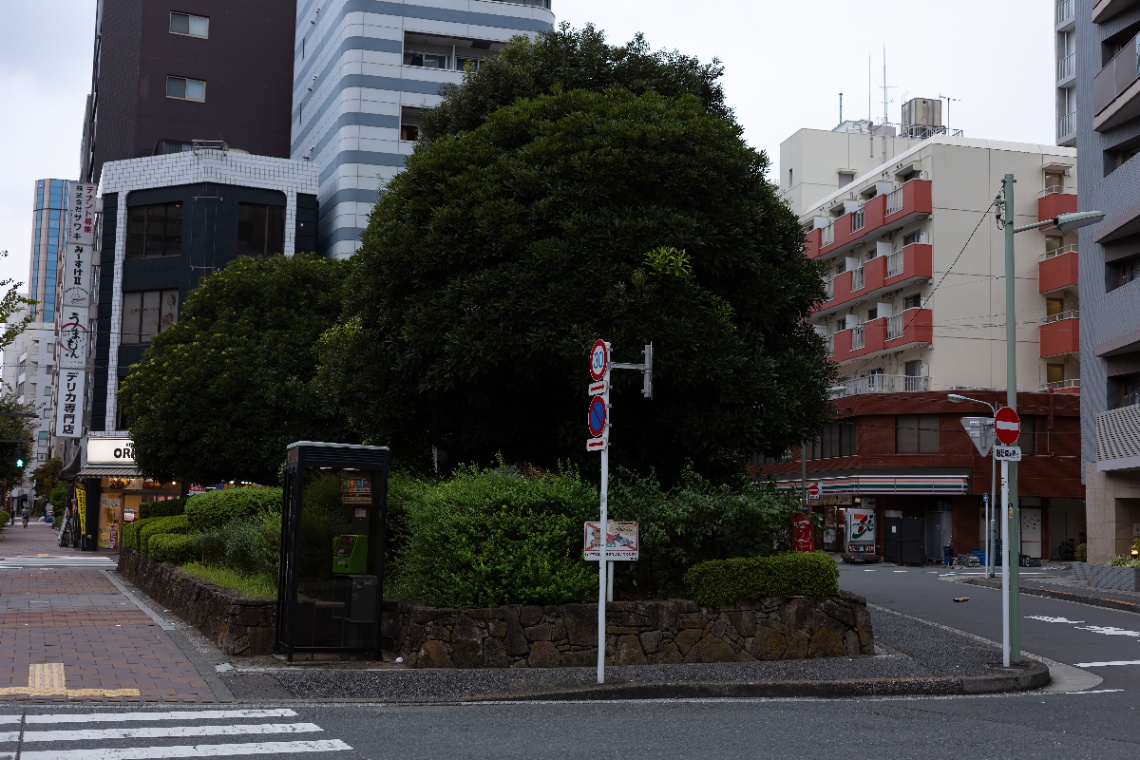 20251014-R0001747.jpg